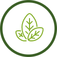 Supply chain nuproxa