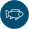 Reduz a prevalência e a severidade das deformidades esqueléticas nos peixes