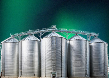 Why reconsider the use of choline chloride in animal nutrition?