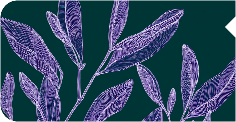 Métabolisme de la méthionine