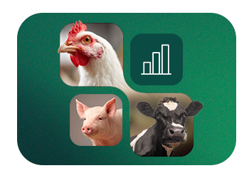 Natu-B4®: 22 years of innovation in natural choline with scientific validation